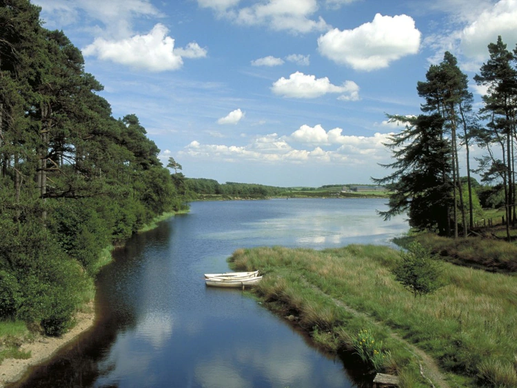Little Lough at Sweethope